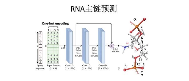 周耀旗课题组及合作者最新成果：开发预测RNA主链二面角的方法